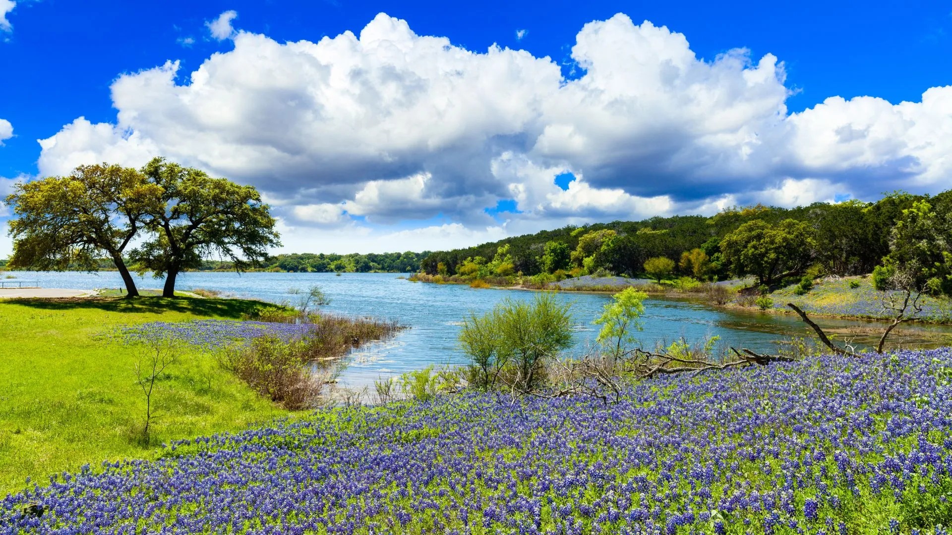 Alvin, TX artificial turf projects