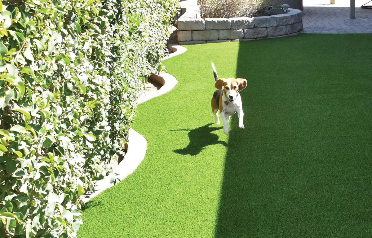 Drainage and Base Preparation in Friendswood, TX